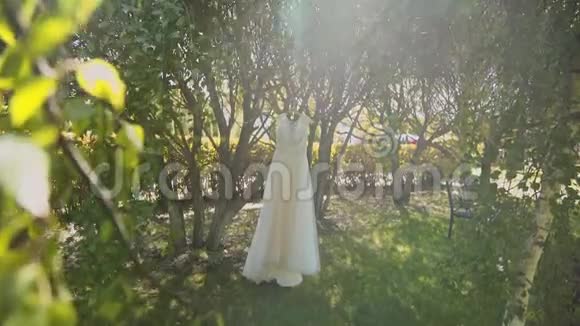 白色的婚纱挂在绿树上白色的伴娘礼服挂在树枝上视频的预览图