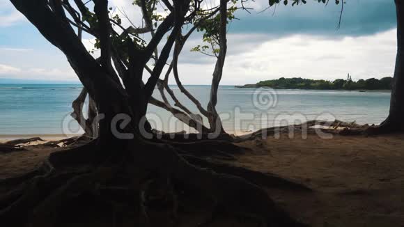 风景景观前景和海滩上树木的轮廓视频的预览图