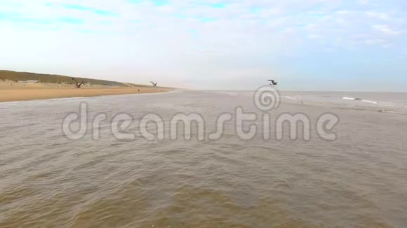 鸟瞰海鸥飞越北海慢动作120fps荷兰沙滩上的赞德沃尔特早晨视频的预览图