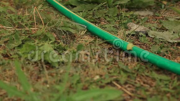 漏水在花园里的软管上形成橡胶管或孔视频的预览图