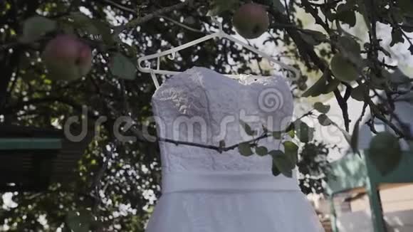白色的婚纱挂在绿树上白色的伴娘礼服挂在树枝上视频的预览图