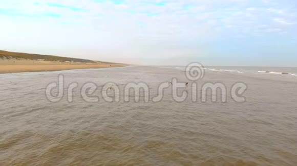 鸟瞰海鸥飞越北海慢动作120fps荷兰沙滩上的赞德沃尔特早晨视频的预览图