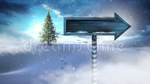 冬季景观圣诞树和箭牌视频的预览图