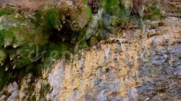 雨滴从美丽的岩石上流下来带着苔藓特写视频的预览图