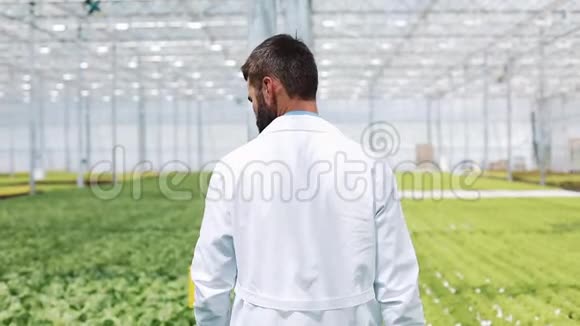 工人在温室里散步从事温室工作的农业工程师视频的预览图