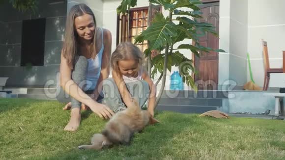 在温暖的夏日里妈妈和孩子在户外慢动作地玩小狗视频的预览图