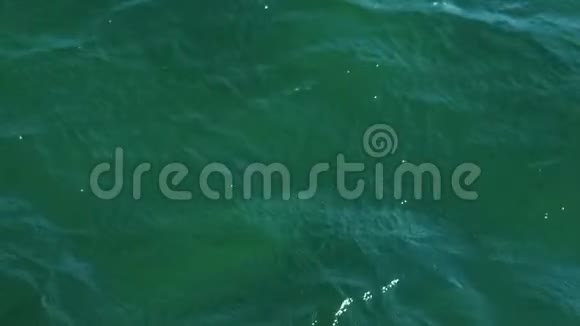 绿色清澈见水波浪很小视频的预览图
