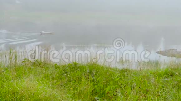 雾天早上在河边视频的预览图