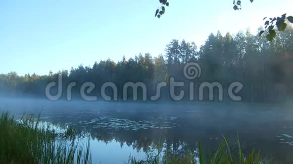 清晨的薄雾笼罩着水中初升的太阳视频的预览图