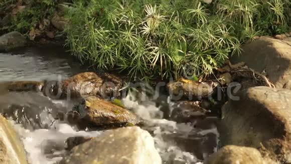 河流在岩石上流动视频的预览图