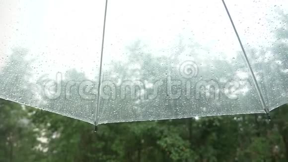 雨滴在透明的伞上的剪影从伞下看雨中的绿树4k慢视频的预览图