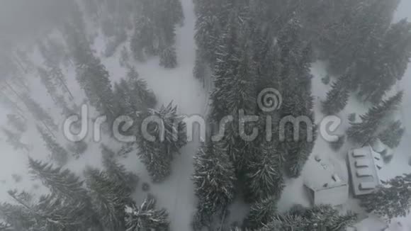 在一场大雪中无人机飞过树林中的一条小路飞过房子视频的预览图