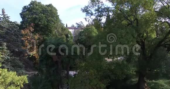 从苏呼米植物园的树木上起飞视频的预览图