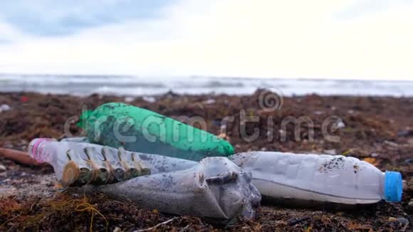 风暴过后沙滩上的海藻中有塑料瓶死蟹动物遗骸和其他碎片视频的预览图