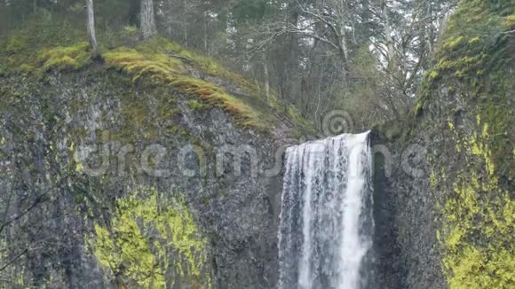 瀑布周围是春天的苔藓和地衣视频的预览图