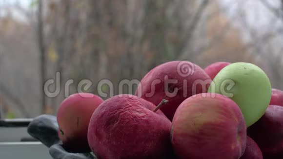 碗里的老苹果外面的深秋视频的预览图