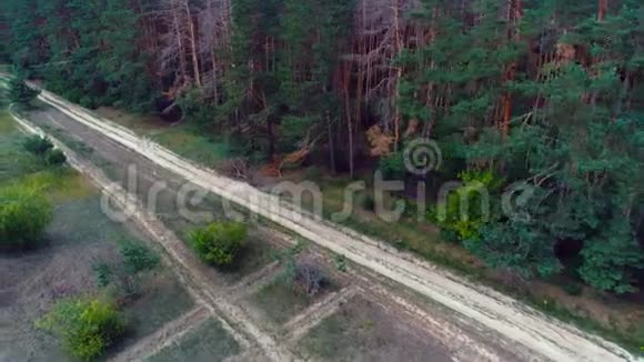 空中飞越绿色森林的道路视频的预览图