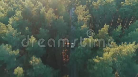 森林中老式汽车骑行的鸟瞰图视频的预览图