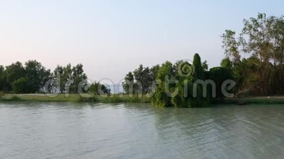 泰国北邦河流与湖泊背景之间小岛的宁静林地场景视频的预览图