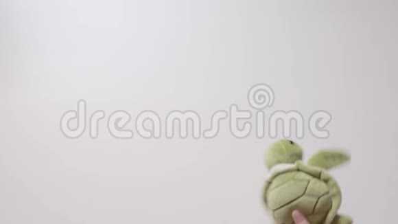 孩子玩乌龟玩具Part07视频的预览图