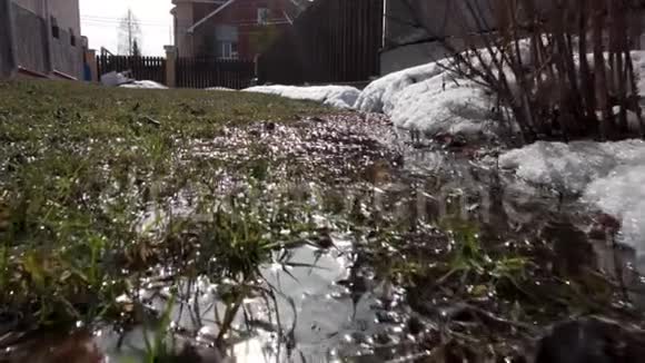 一个肮脏的融雪背景的特写冬天录像绿草和融化的雪在绿草上第一个春天视频的预览图