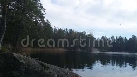 夏日令人惊叹的美丽自然景观鸟儿在湖上飞翔洛基海岸春日瑞典视频的预览图