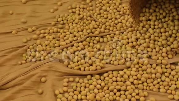 把大豆放在农场里视频的预览图