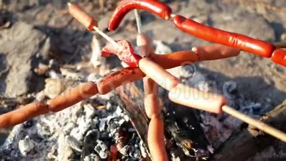 香肠篝火之夏视频的预览图