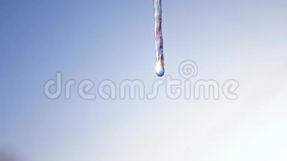 融化的冰柱映衬着蓝天特写滴冰柱春天来临视频的预览图