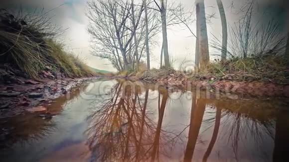 池塘在大自然和树木秋季视频的预览图