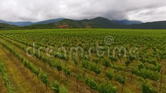 鸟瞰格鲁吉亚令人惊叹的葡萄园农业农业企业视频的预览图