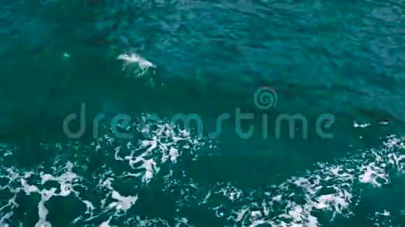 岩海水面与波浪和泡沫的船舶顶部视图视频的预览图