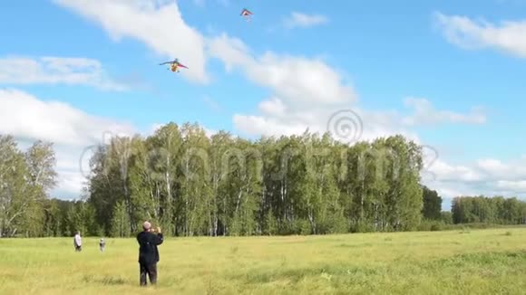 一家人在树林里放风筝视频的预览图