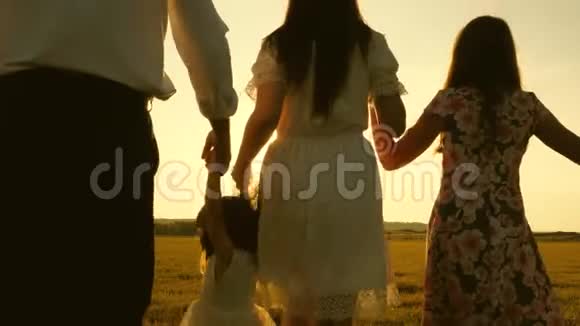 妈妈爸爸和小女儿带着姐姐在阳光下田野里散步快乐的年轻家庭孩子们爸爸和视频的预览图