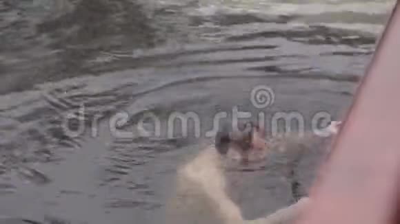 那人沉浸在洞里在寒冷的河里锻炼和游泳视频的预览图