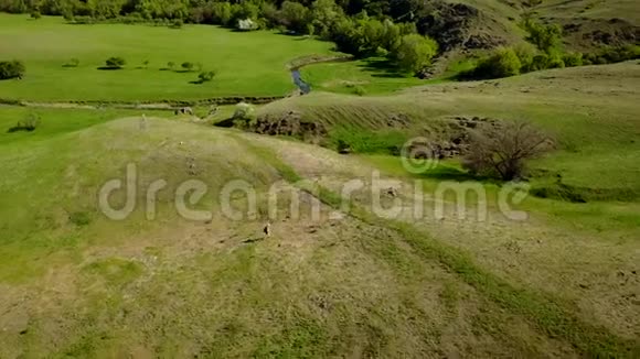 空中视频人走在风景如画的山谷在绿草地上河流追踪背包客的无人机视频的预览图