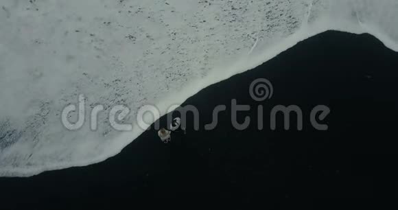 冰岛黑色火山海滩上的泡沫海浪的高空俯视年轻夫妇走在海边视频的预览图