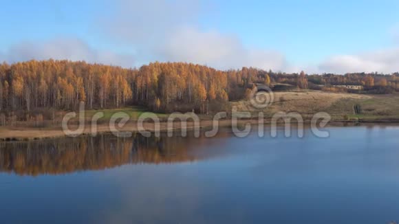 俄罗斯Izborsk秋戈罗迪什琴斯科耶湖畔的桦树林视频的预览图