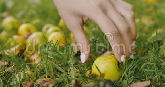 女人的手从草地上摘下一个绿苹果视频的预览图