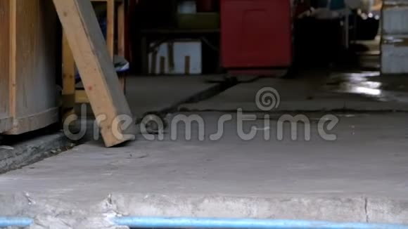 大老鼠在杂货市场上横行慢动作亚洲泰国视频的预览图