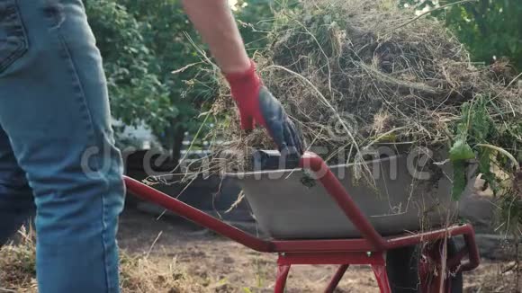 农民在手推车里搬运草园艺工人打扫草园农业工作农民视频的预览图