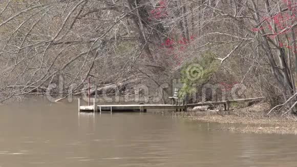 佐治亚州考布尔公园一个小木墩延伸到阿克沃思湖视频的预览图