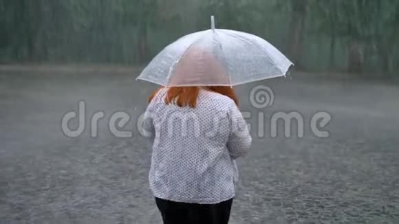胖姜女的剪影在雨中漫步在公园里撑着伞后景视频的预览图