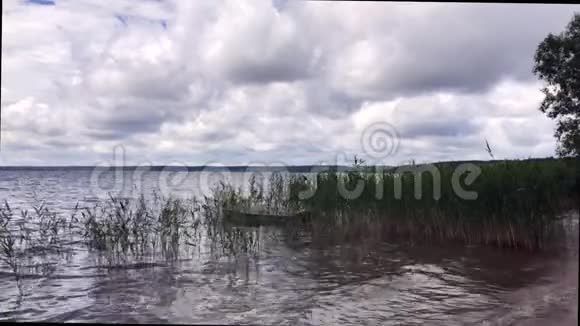 淡水湖船在岸边的芦苇丛中荡起波浪天空中有很多云视频的预览图