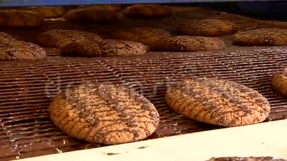 准备好的燕麦饼干穿过传送带视频的预览图