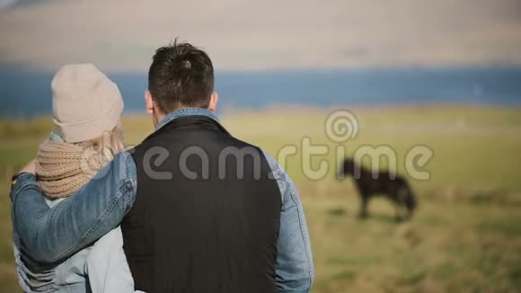 年轻夫妇站在田野上欣赏风景的后景男人和女人看着冰岛的马视频的预览图