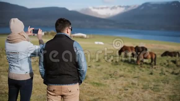 年轻夫妇去农场挑选动物女人在田野上给美丽的冰岛马拍照视频的预览图