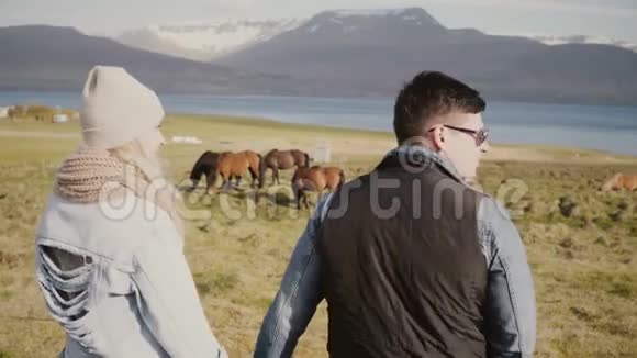 在冰岛农场和骑马的年轻夫妇的后景男人和女人花时间在大自然上视频的预览图