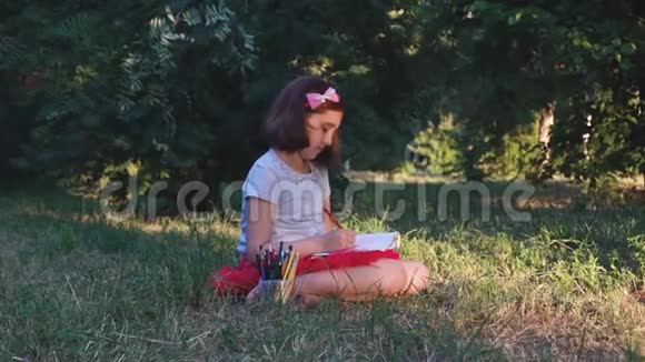 一个穿红色裙子的小艺术家女孩用铅笔在相册里画画视频的预览图