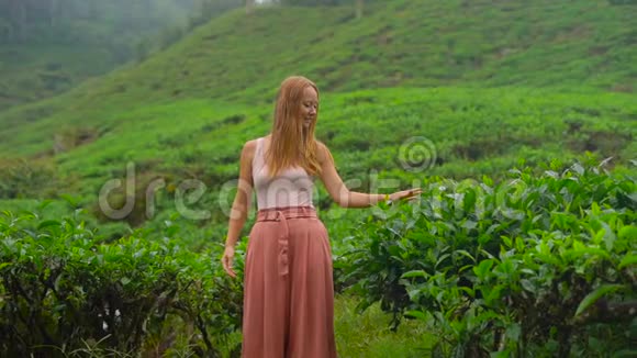 一名年轻女子参观高地茶园的慢镜头新鲜茶的概念视频的预览图